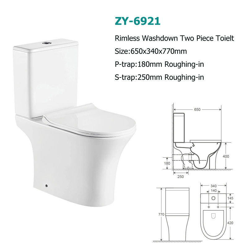 Hot Sell Israel Market Bathroom P-Trap Washdown One Piece Toilet /Rimless Flush Wall Hung Toilet