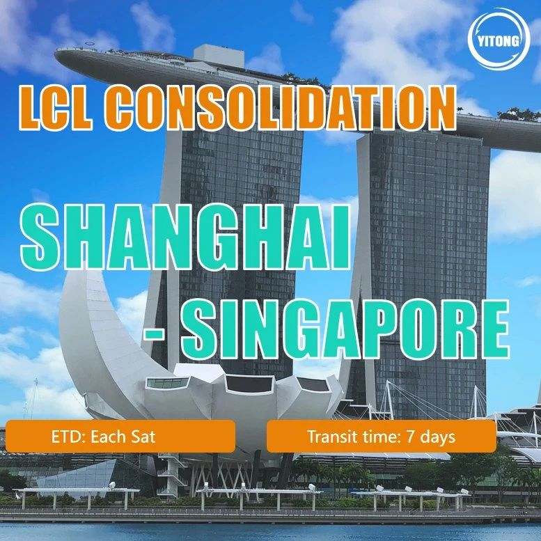 LCL Shipping From Shanghai to Singapore