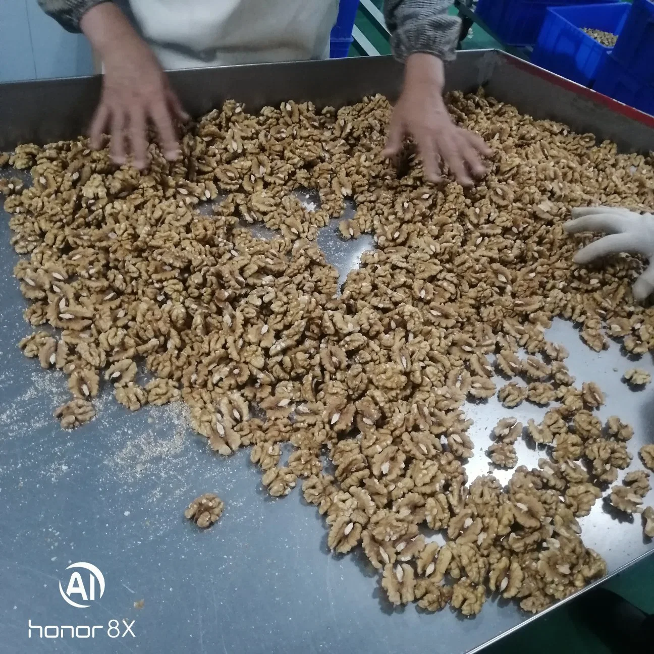 Xinjiang Walnut Kernels Lh 2022 Crop