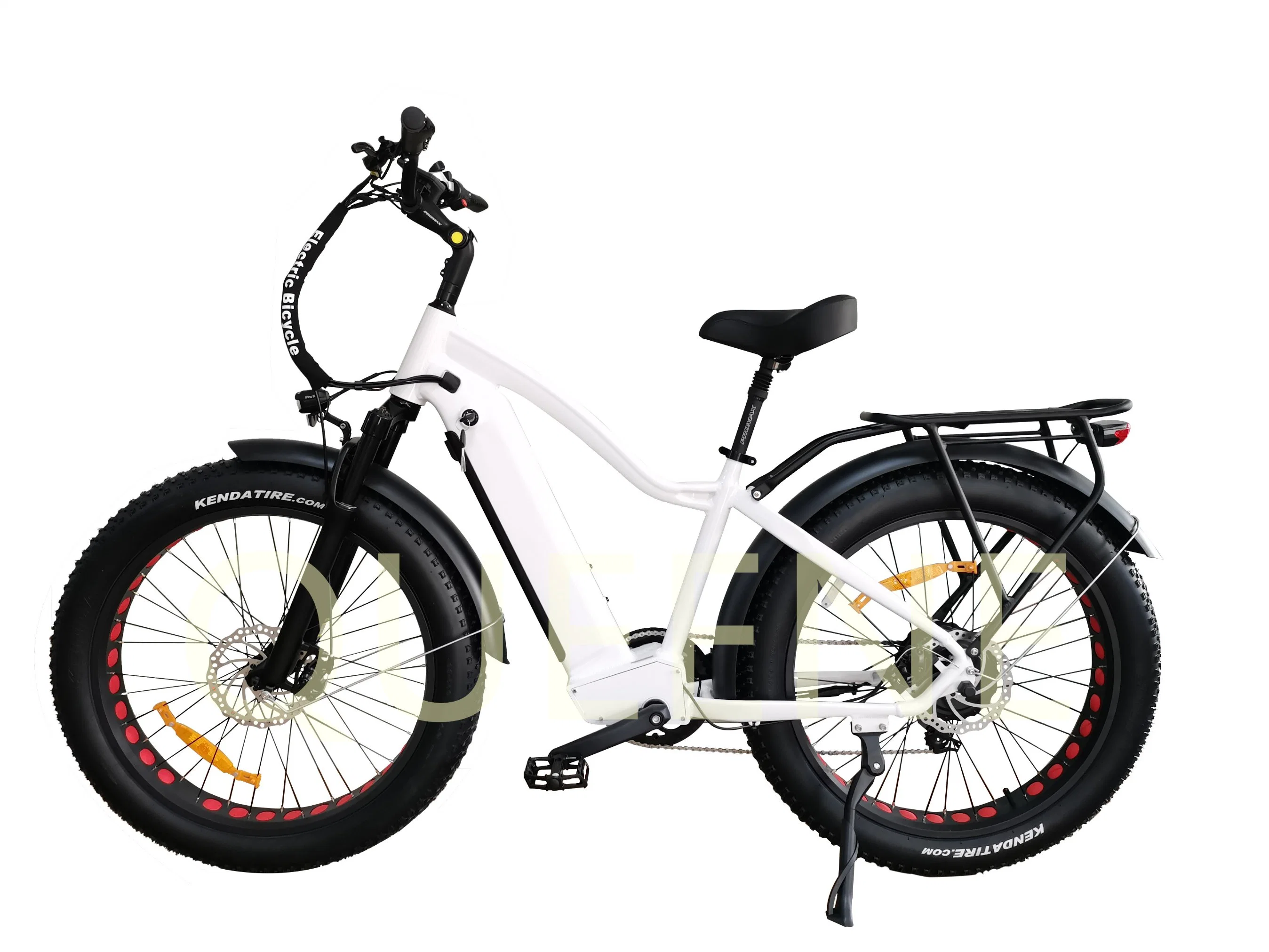 Велосипед MTB Queene 26-дюймовый 500W 750W электрический снега Bicicleta Fahrrad велосипедов для взрослых