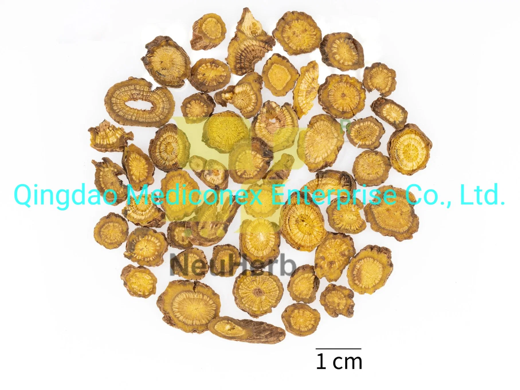 Anemarrhena Asphodeloides (rhizome) Crude Herb Plant Extract Natural Prepared Chinese Herbal Medicine