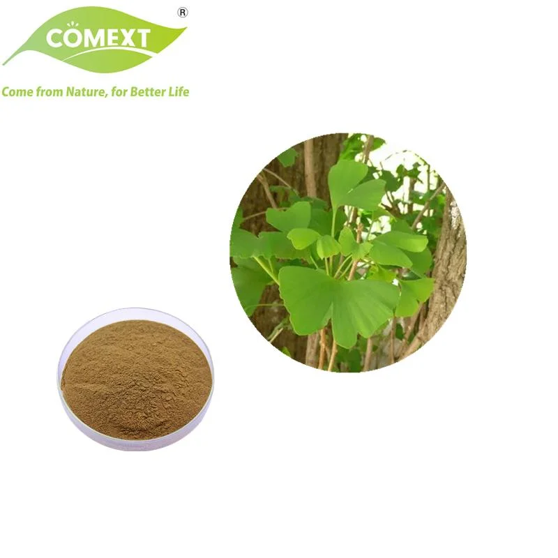 Comext ISO Halal Kosher Certificated Wholesale/Supplier Price 24% Total Flavones Powder Ginkgo Biloba Extract Lower Blood Pressure