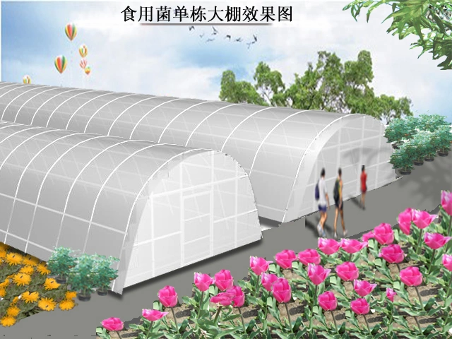 Syp Syp Intelligent Tropic Agriculture L Multi-Span Plastic/Polycarbonate Sheet PC/Glass/Greenhouse