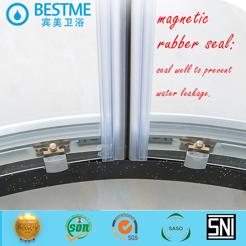 Stainless Steel with Glass Tempering Bathroom Shower Door Sanitary Wares (BL-B0087-P)