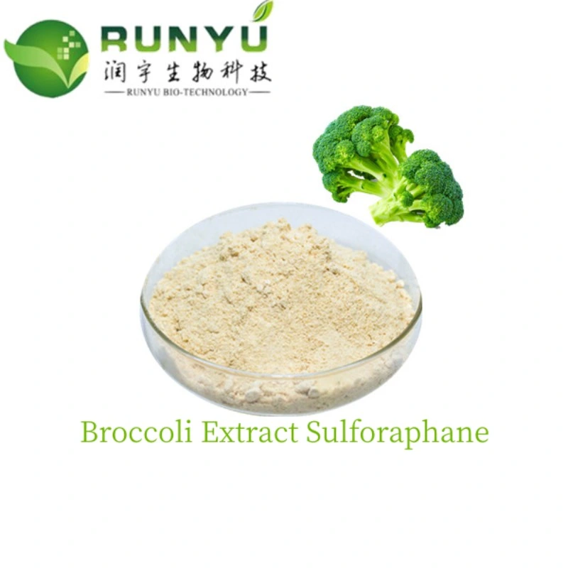 Certificação ISO Sulforaphane 1% Sulforaphane 10% CAS 4478-93-7 Brócoli Extrato