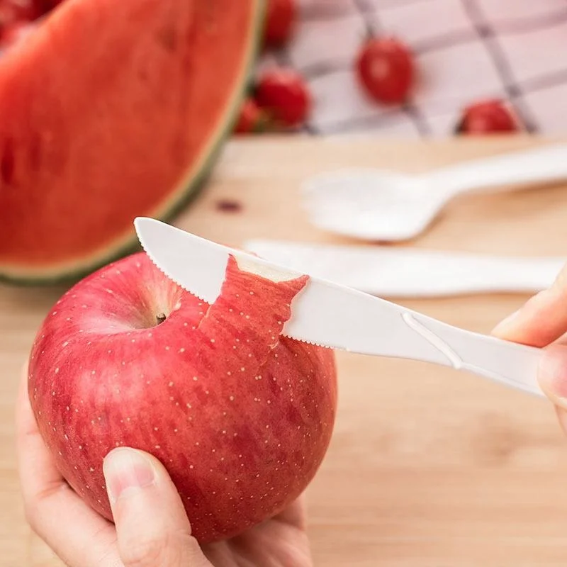 Umweltfreundlich biologisch abbaubares Einweg Maisstärke PLA Besteck für Restaurant