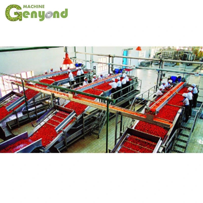 Vegetable and Fruit Processing Machine