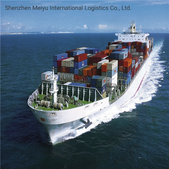 Cheapest Freight Forwarder DDU/DDP Sea Shipping to Italy