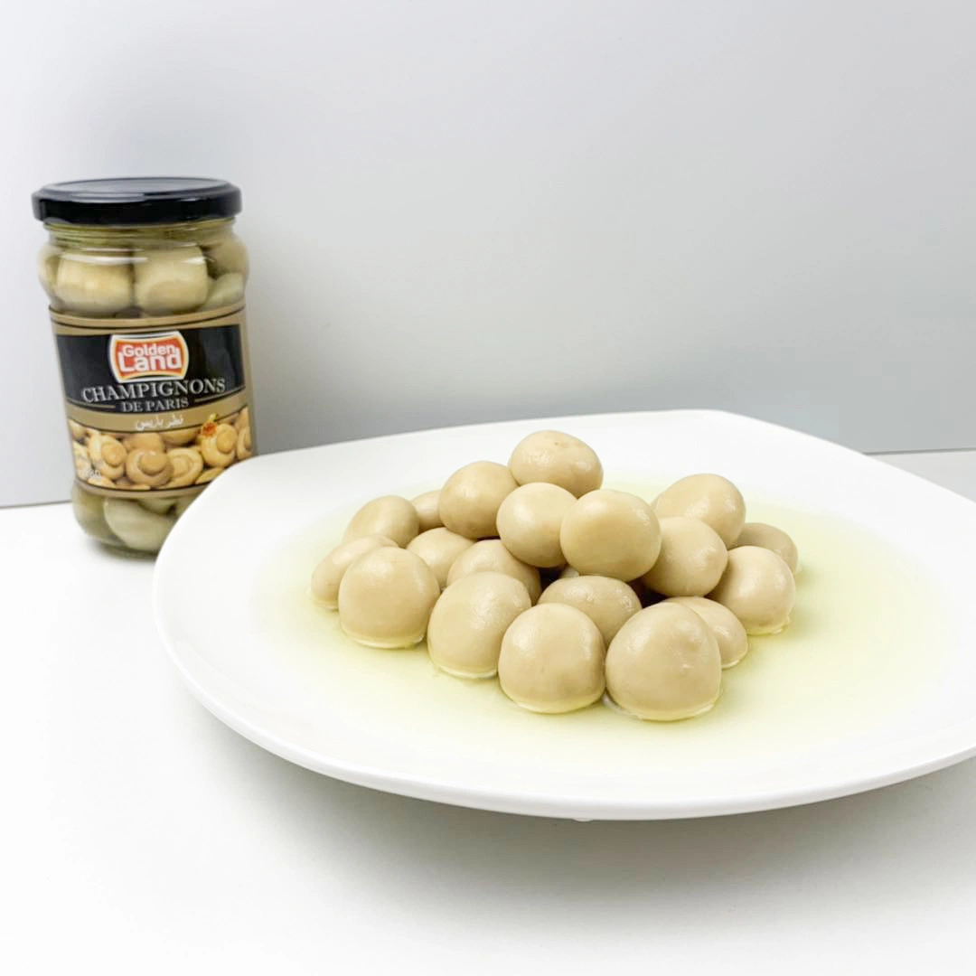 Good Quality Canned Slice Whole Mushroom in Can Food From China