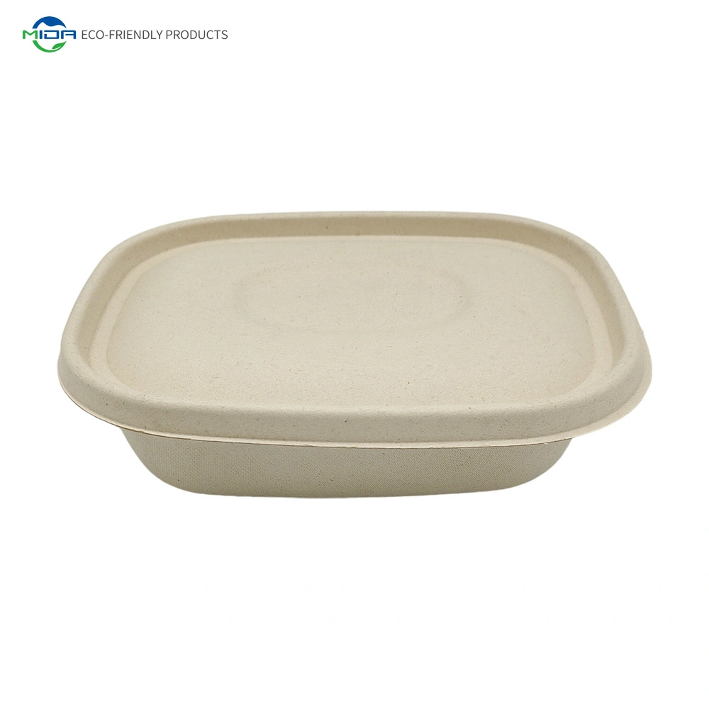 11000ml Einweg biologisch abbaubare Bagasse Take Away Food Container Zellstoffverpackung Lunchbox Burger Box Kompostierbares Einmal-Geschirr