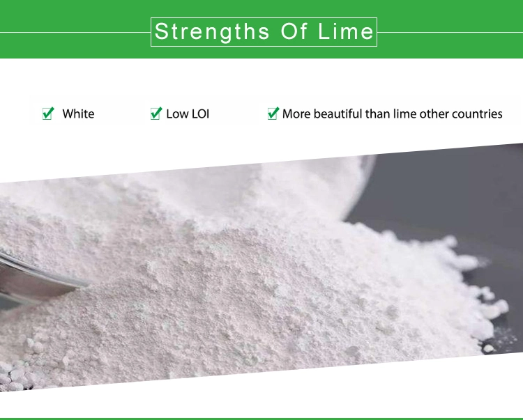 Food Grade Calcium Hydroxide/Ca (OH) 2 Powder/Hydrated Lime 90% Ca (OH) 2