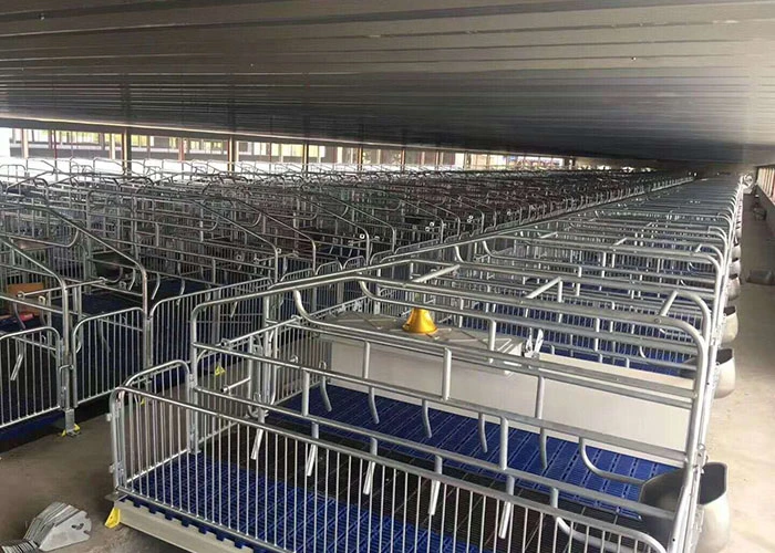 China Manufacturer Pig Equipment Swine Farrowing Pen