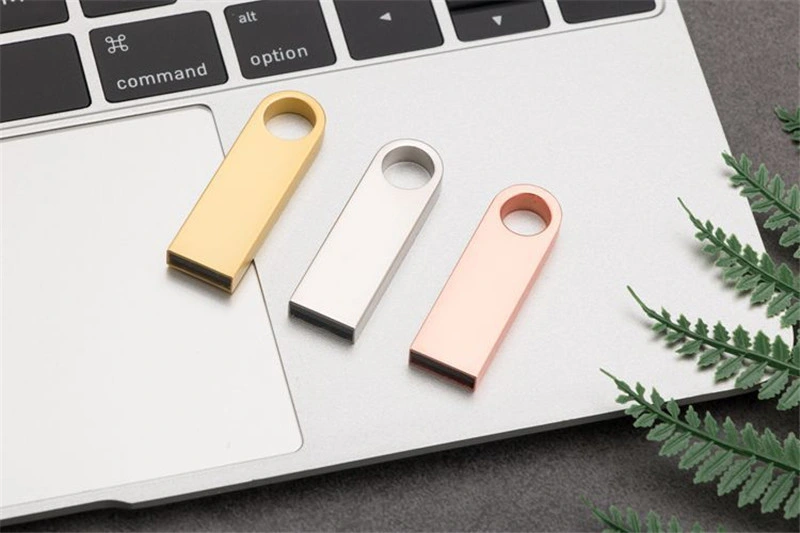 Metal Key Chain Promotional Gift USB Flash Drive USB Drive USB Flash Disk USB Stick USB Pen Drive