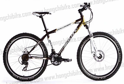 Professional MTB Bike Bicycle for Dirt Road City Bike (HC-TSL-MTB-60173)