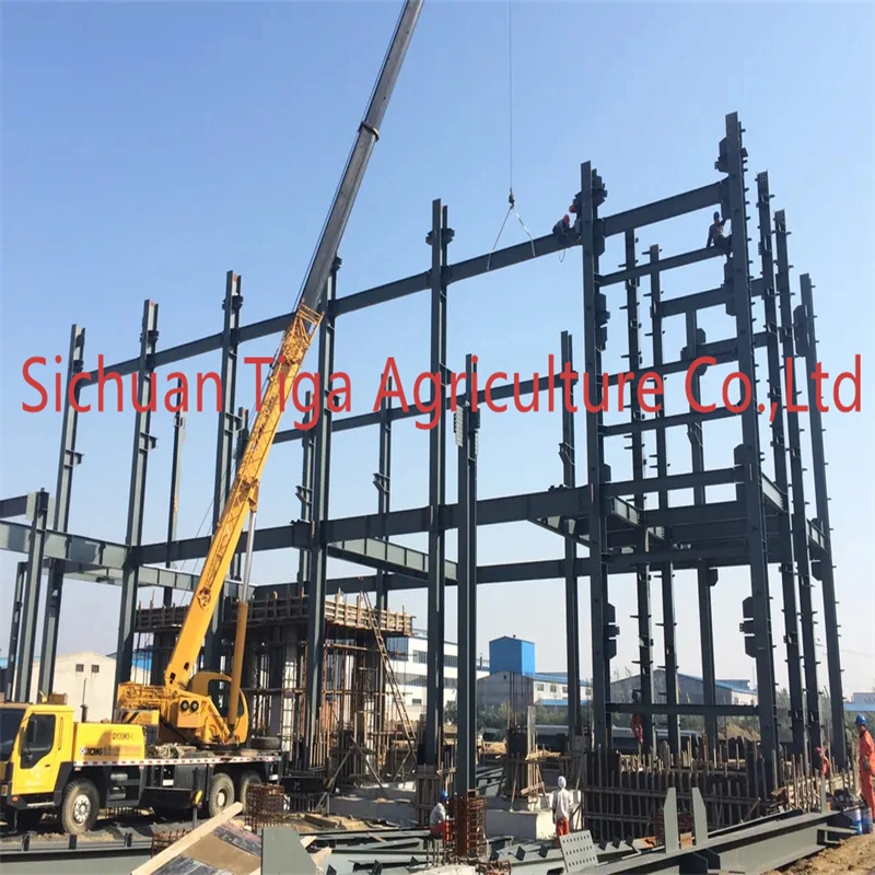China Building Quality Assured Construction Space Structure Design Steel Frame Structure Agriculture Greenhouse