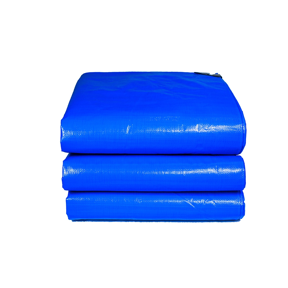 PE Tarpaulin with UV Protect Plastic Fabric Sheet in Standard Size for Agriculture/Industrial Cover