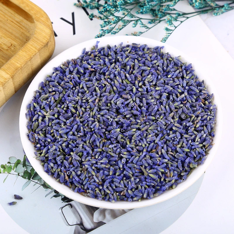 Chinese Herb Medicine Xunyicao Health Tea Skin Care Dried Lavender Flower for Oil Extract