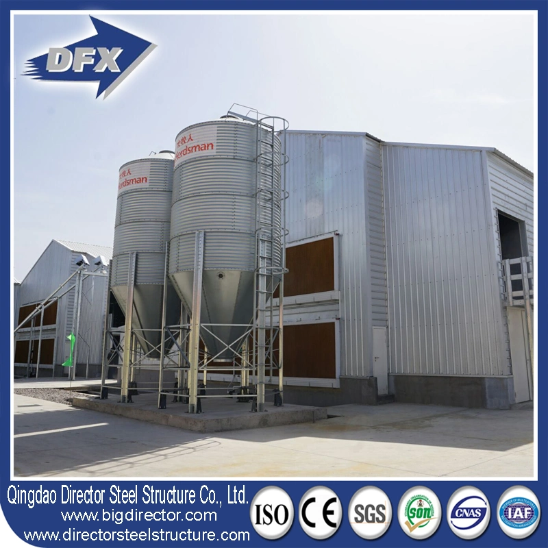 Dfx Steel Structure Chicken Shed Building Controlled Poultry Farms