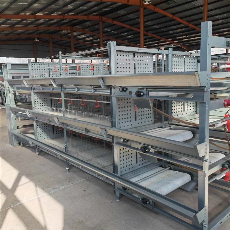 China Best Supplier Steel Frame Layer Egg Chicken Cage Poultry Farm Construction House Design for Sale in Kenya