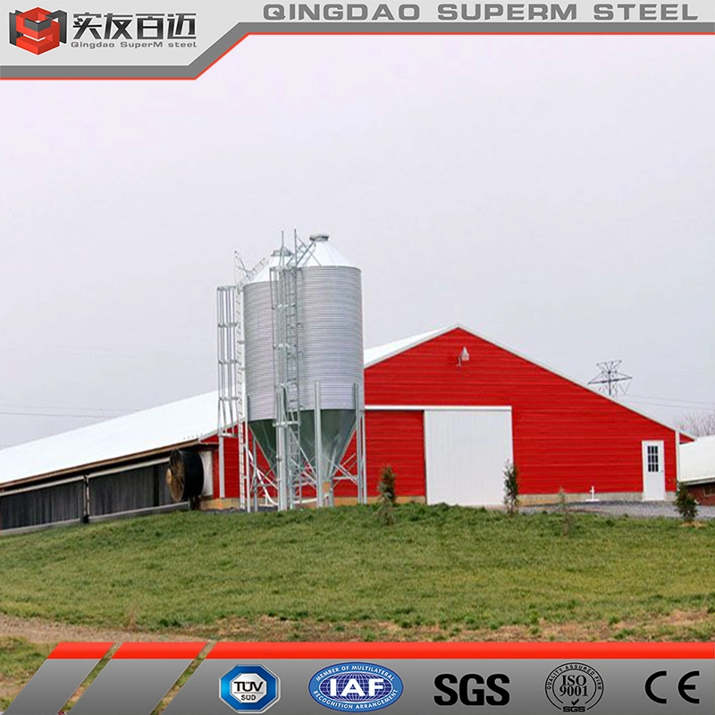 Beliebte Maßgeschneiderte Vorgefertigte Stahlstruktur Geflügel Farm Huhn Haus Coop