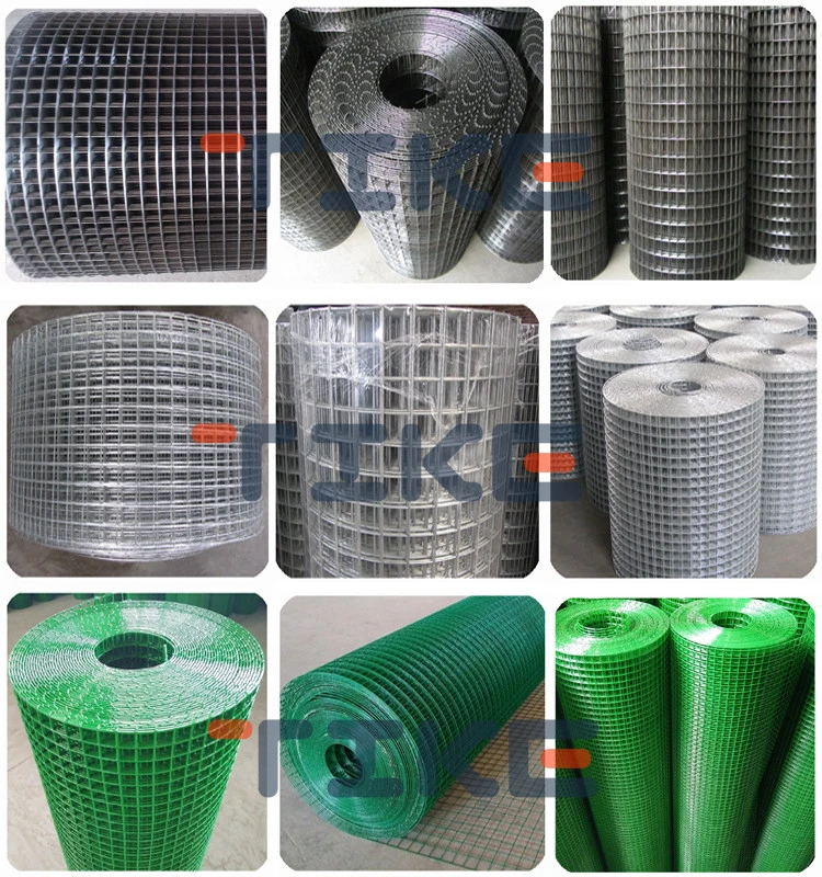 1X1 malla de alambre soldada/ 2X4 malla de alambre soldada galvanizada/ 1/2 X 1/2 malla de alambre soldada recubierta de PVC