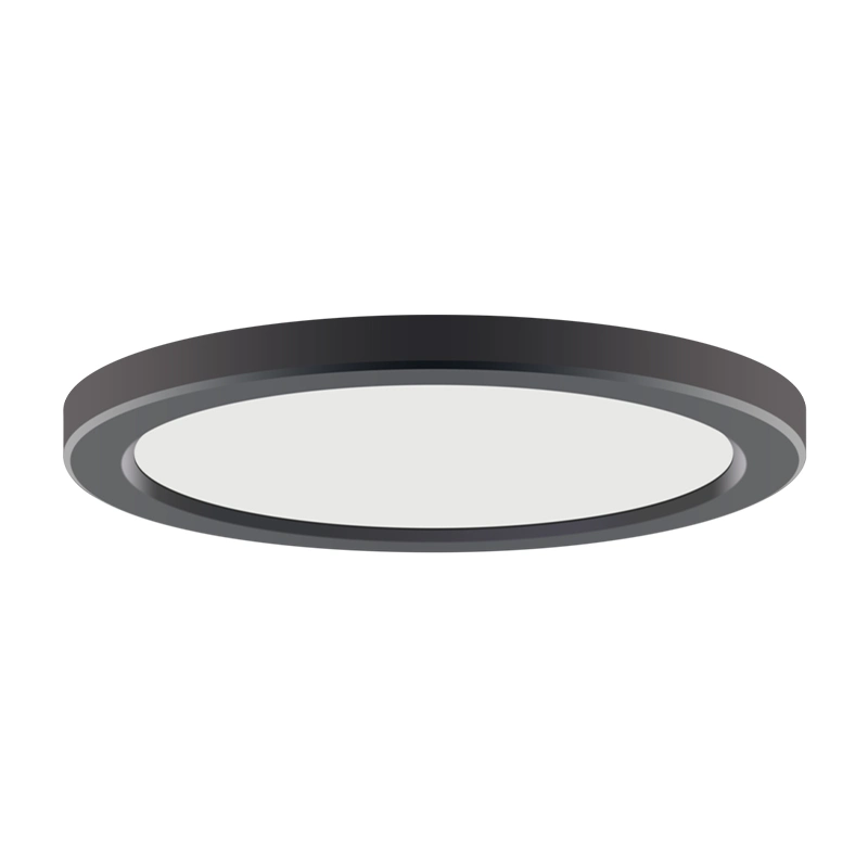 North American Type Modern 5-12inch White/Black/Silver Flush Mount LED Slim Panel Lights for Kitchen Bathroom Hallway