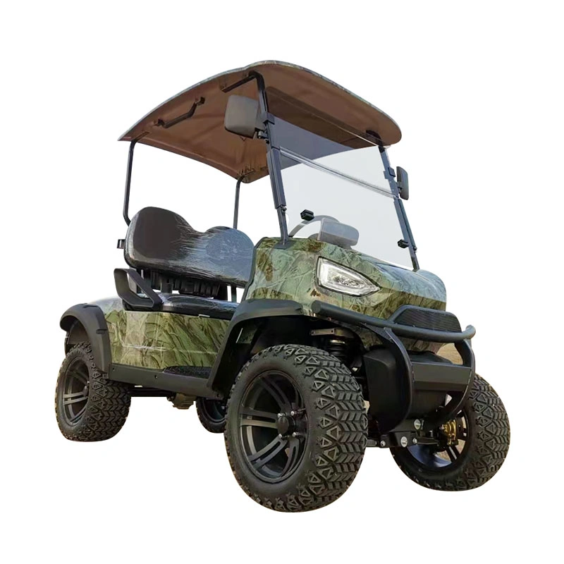 Buggy/Golf Carts Supply Customize Color Mini Electric Car Golf Buggy