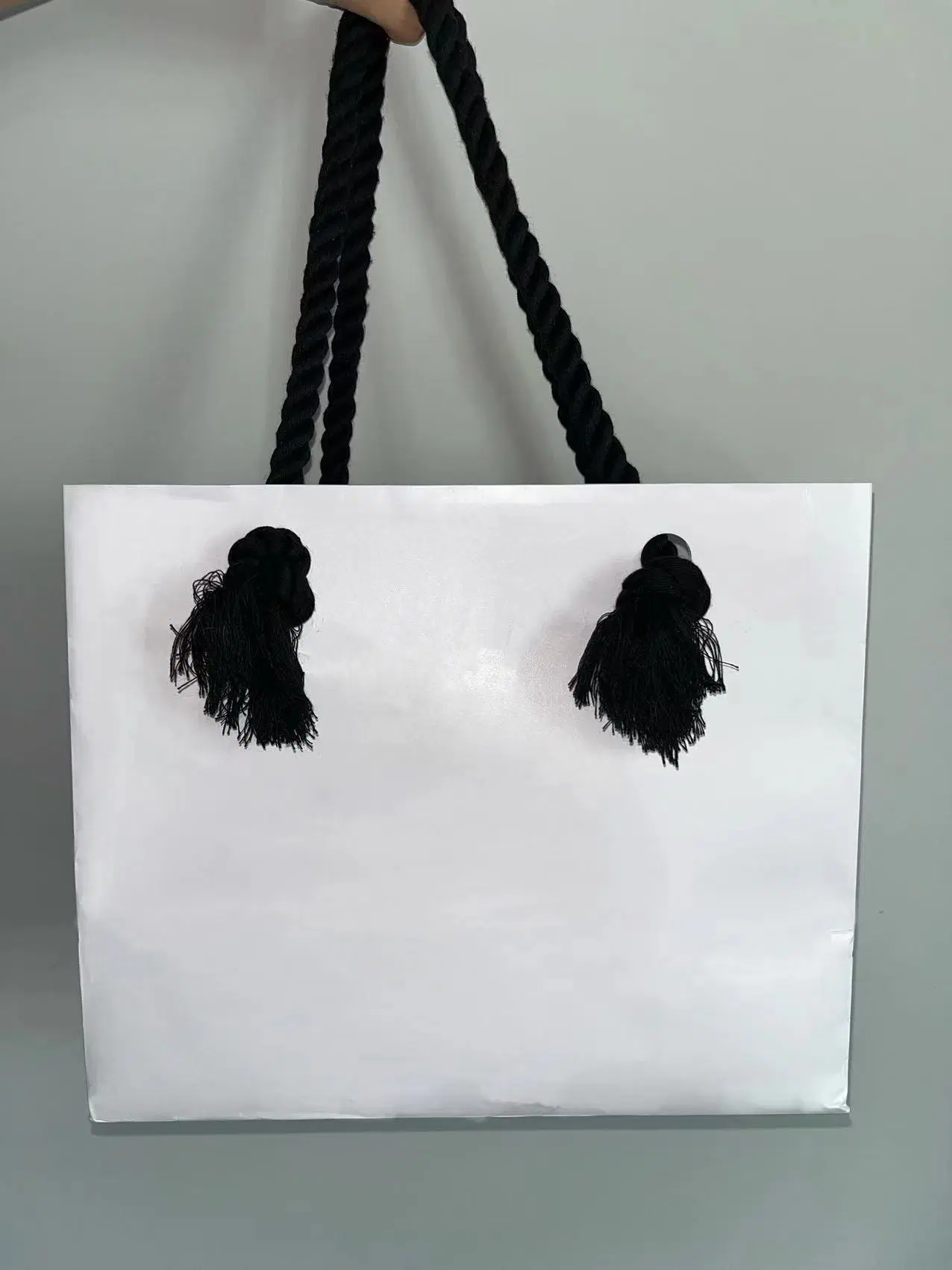 Wholesale Printing Paper Bag with Nylon Rope Handles