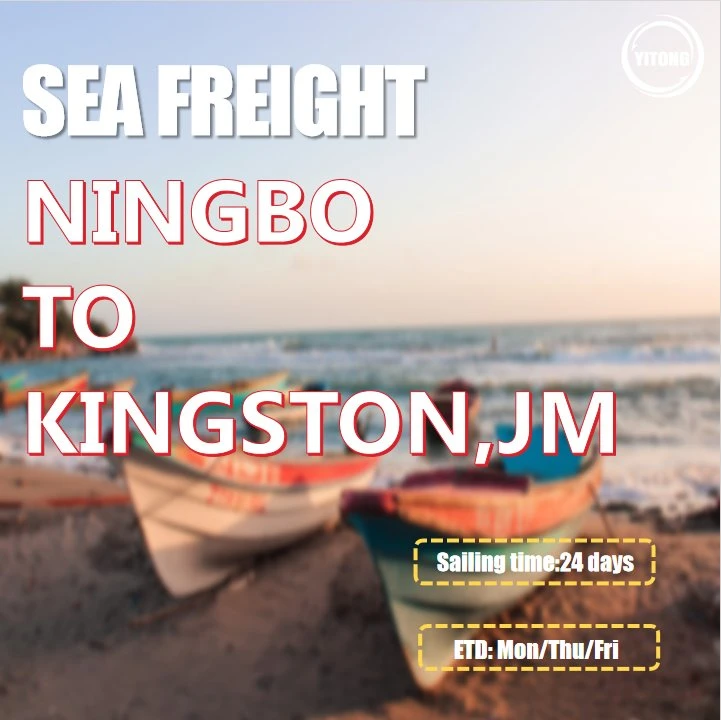 Cargo Ship Price From Ningbo to Kingston Jamaica