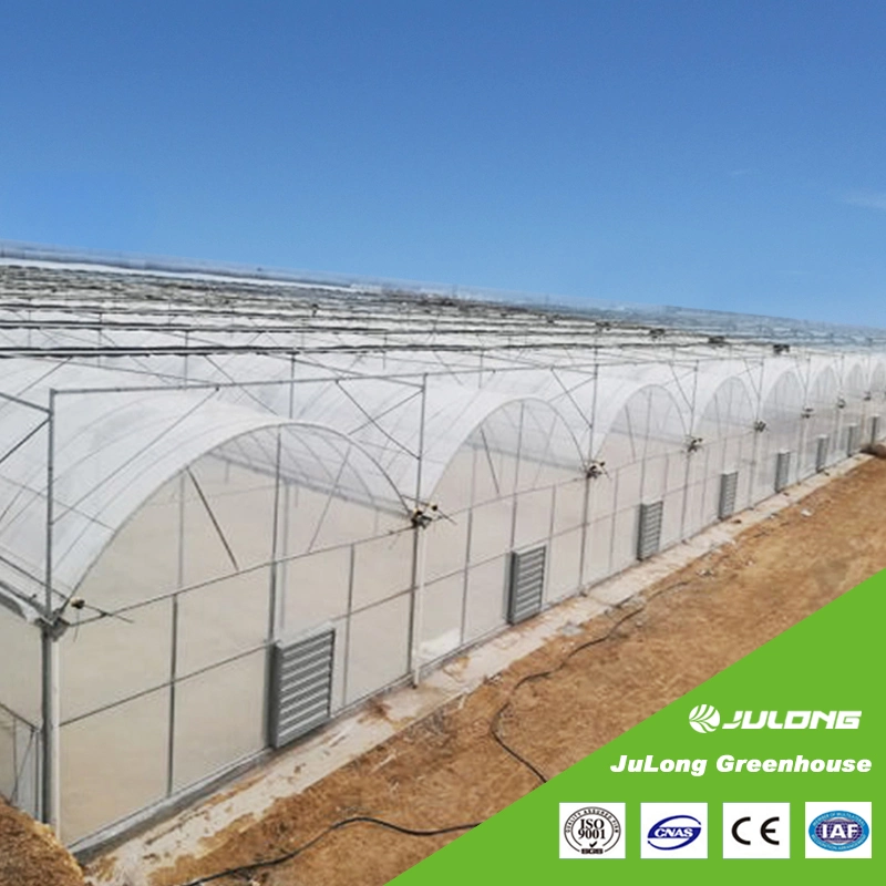 High Quality and Cheap Agriculture Commercial Multi-Span Plastic Film Greenhouse with Hydroponics System for Vegetables