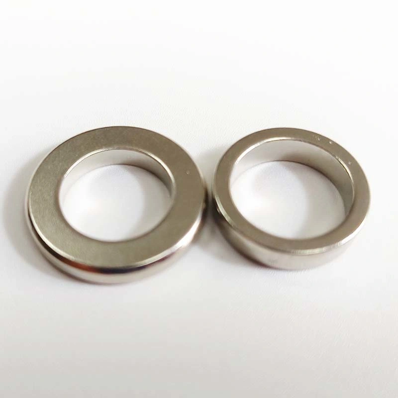 Custom N35 Sintered Neodymium Strong Power DC BLDC Motor Rings Magnets