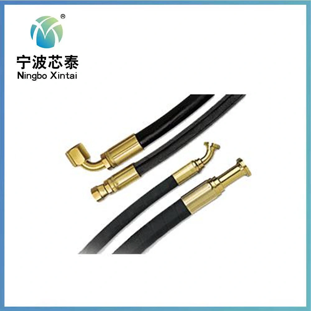 Auto ISO/Ts/DOT/Fmvss Certification and EPDM Metal Material Rubber Hydraulic Brake Hose Assembly