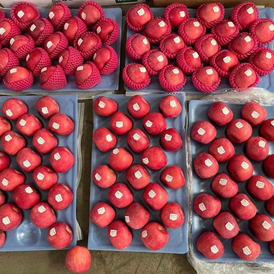 Huaniu Golden Delicious Gala Qinguan FUJI Apple Fruit Price From Factory