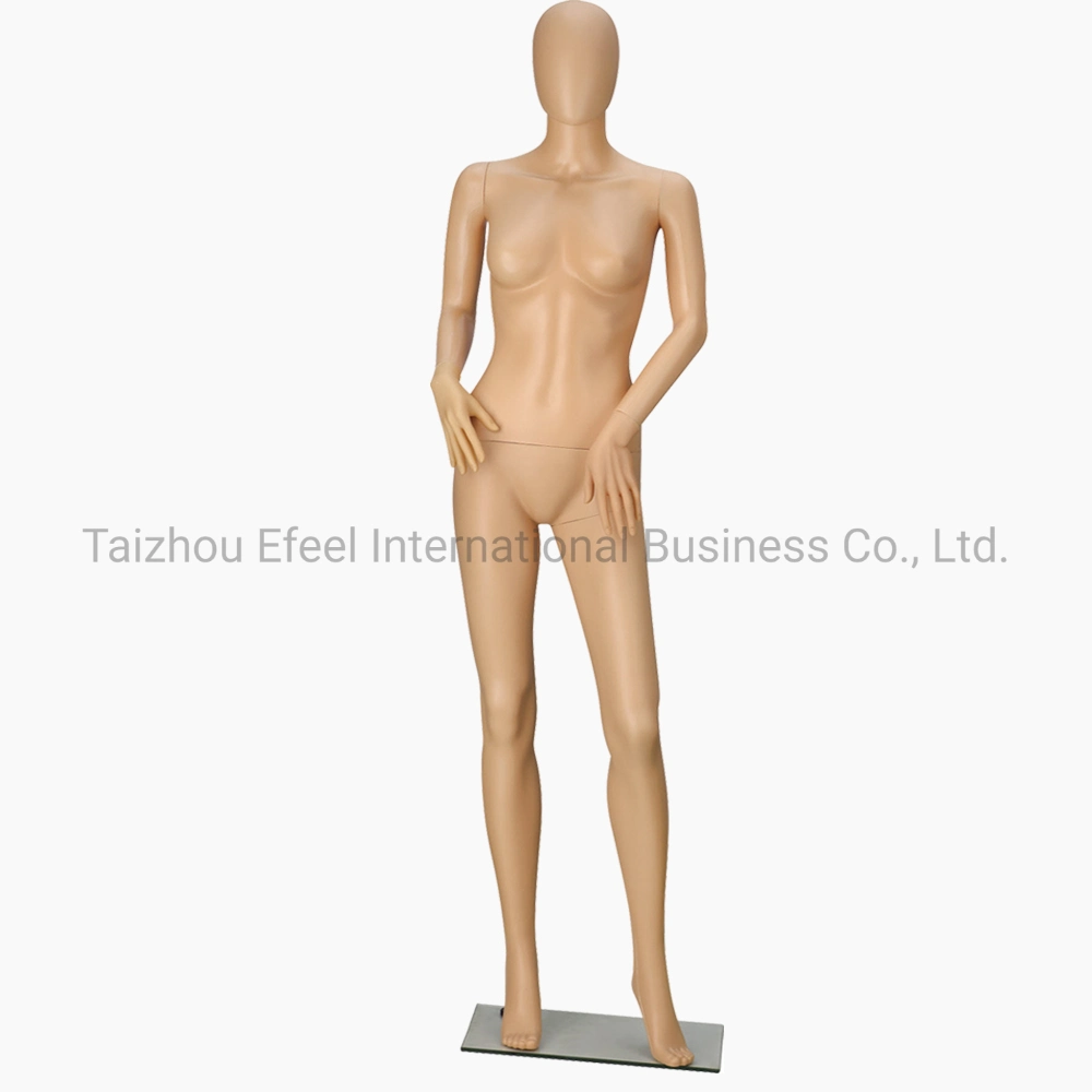 Plastic Mannequin Brazilian Mannequin Female Mannequin with Head