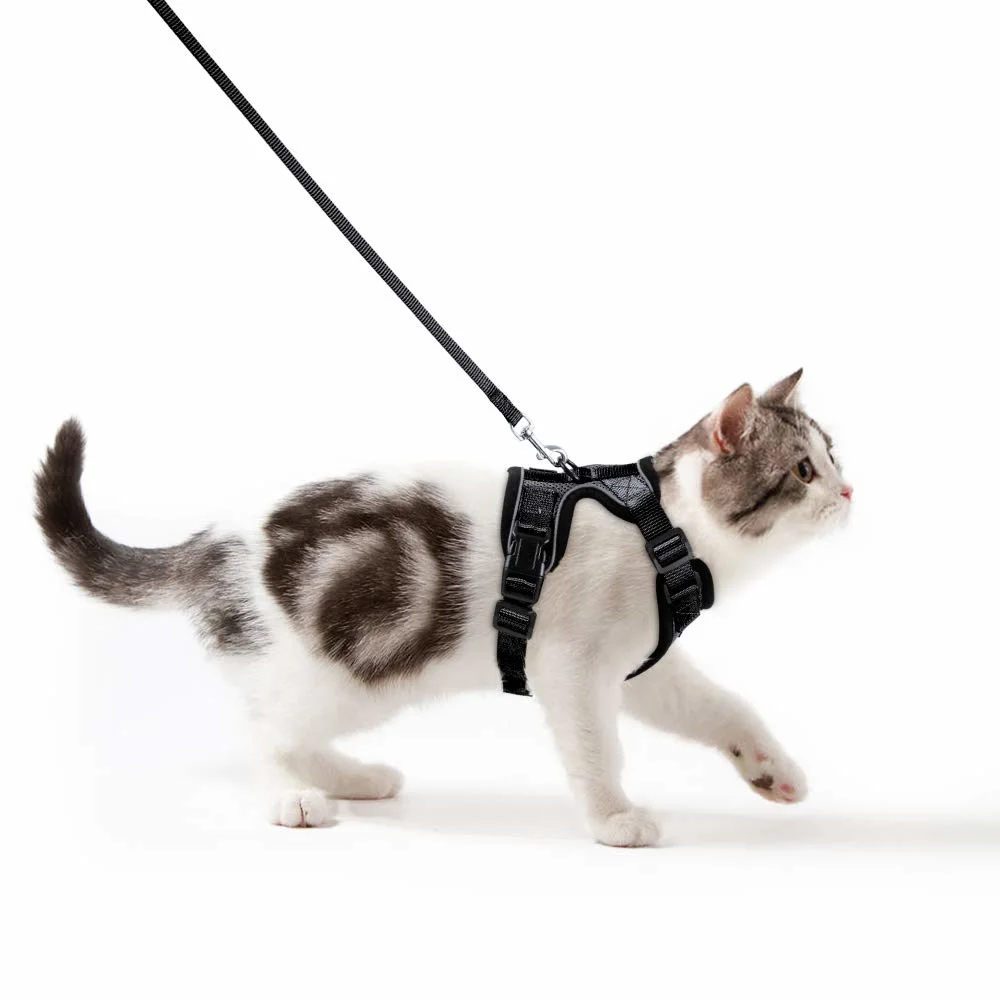 La preuve d'échappement Maillage progressif ajustable Cat gilet de faisceau et laisse définir avec bandes réfléchissantes