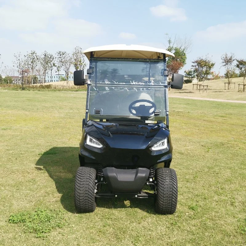 Prix bas Batterie au plomb 48V Flotte Voiture de golf électrique 2 places