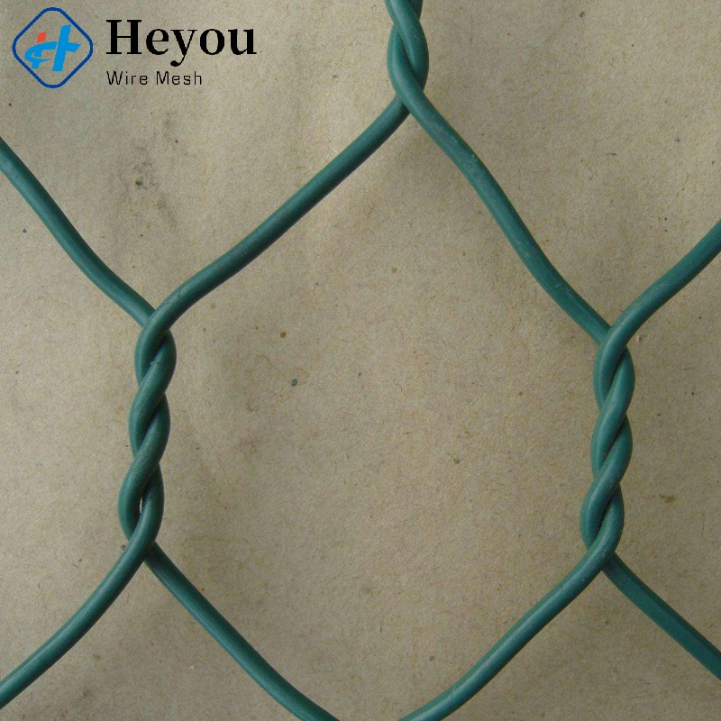 Specialized Production Plastic Black PVC Hexagonal Chicken Wire Mesh