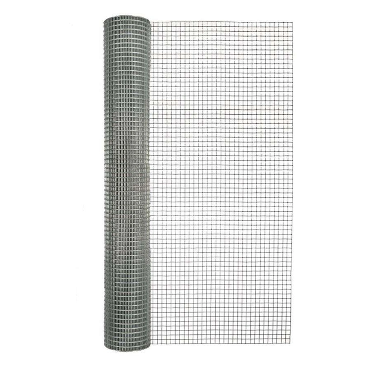 for Bird Cage Welded Wire Mesh Roll Hot Dipped Galvanized Welded Wire Mesh