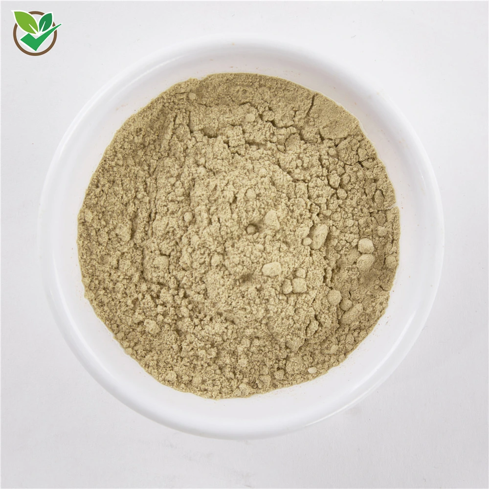 High quality/High cost performance Powder Siberian Ginseng Extract Powder