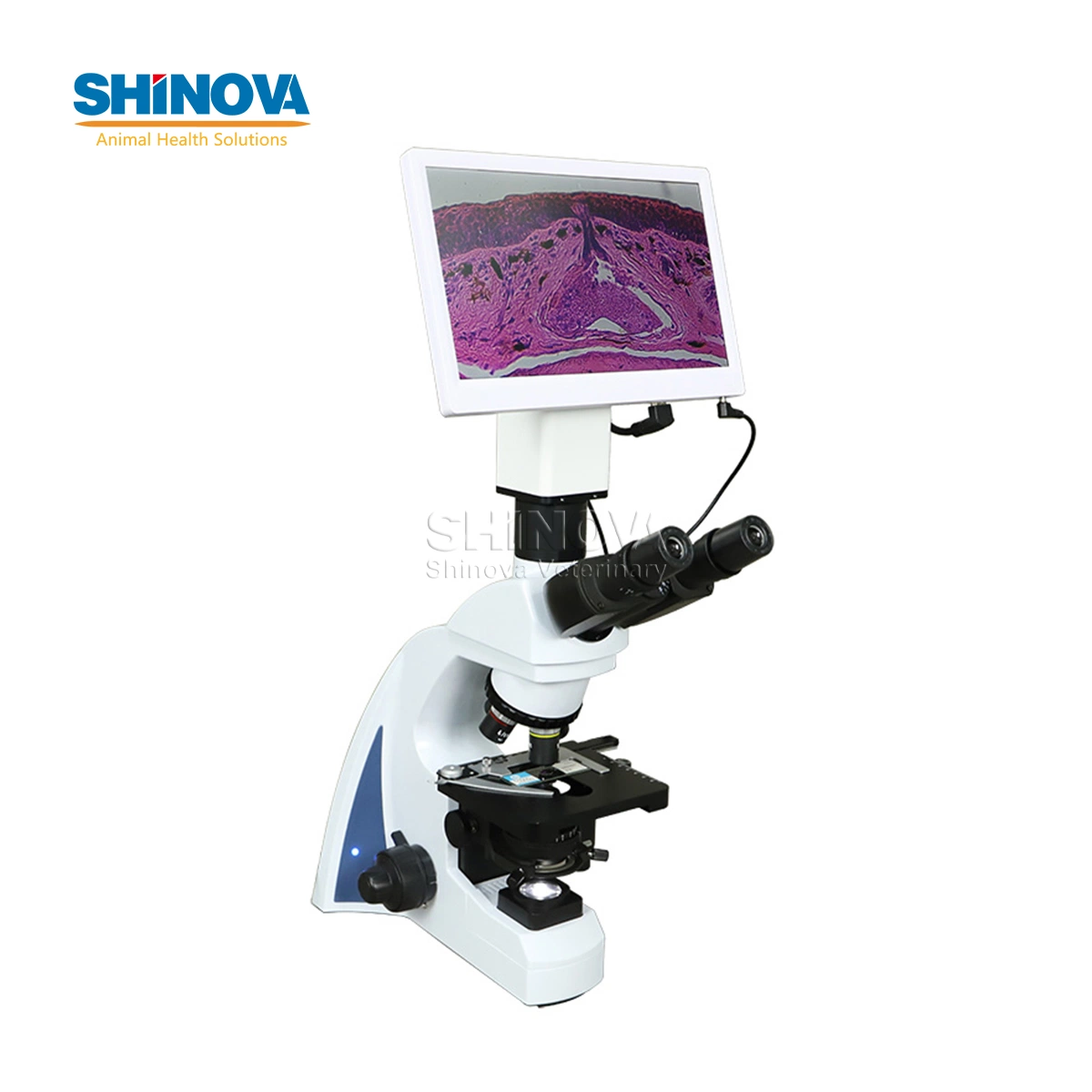 Shinova - Micro biológico veterinário digital LCD de 5 MP e alta qualidade (DM-500L) com LCD de 11.6 polegadas Sceen