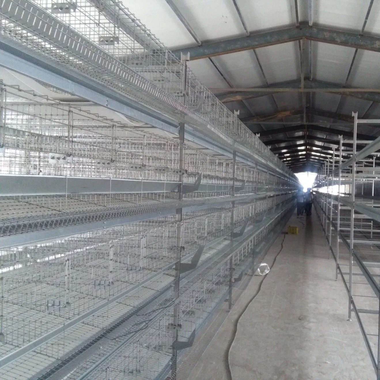 Customized Design Layer Chicken Coop with Interior Automatic Equipment