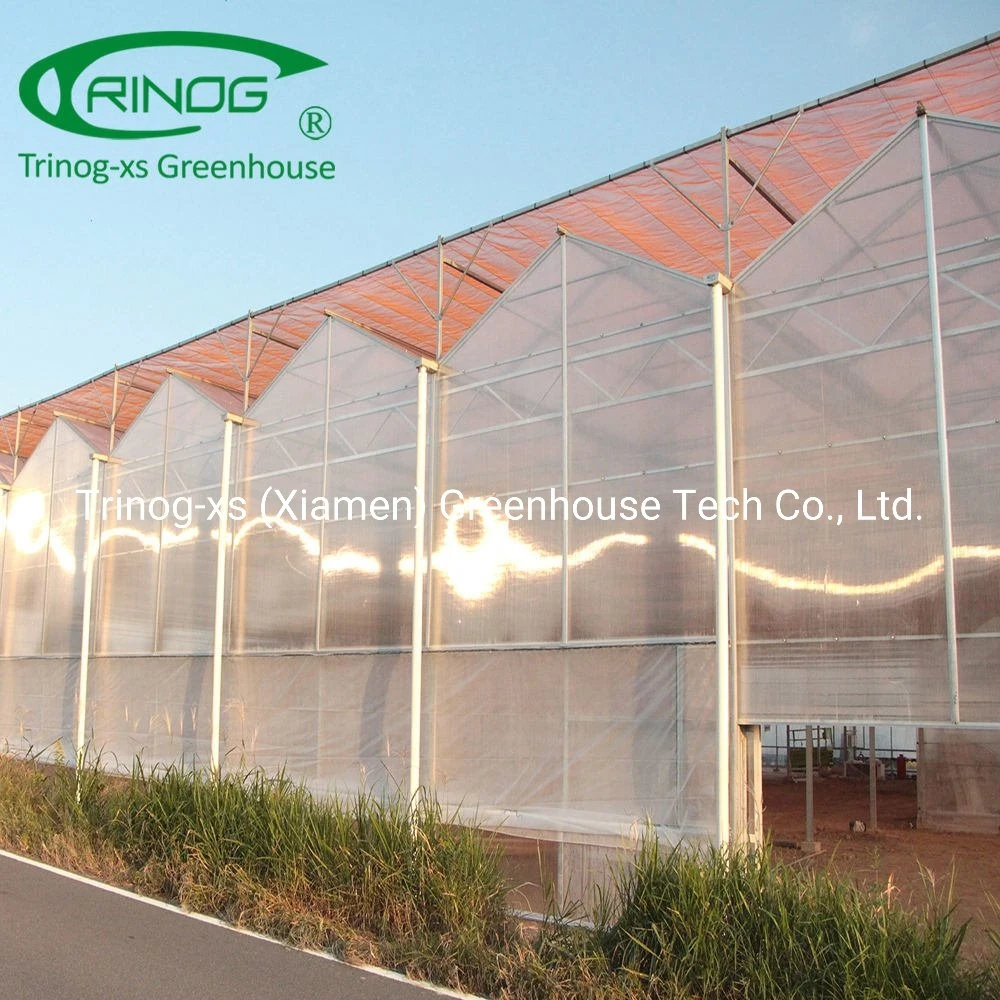 Agriculture Triangle roof PC sheet polycarbonate greenhouse with cooling pad and fans