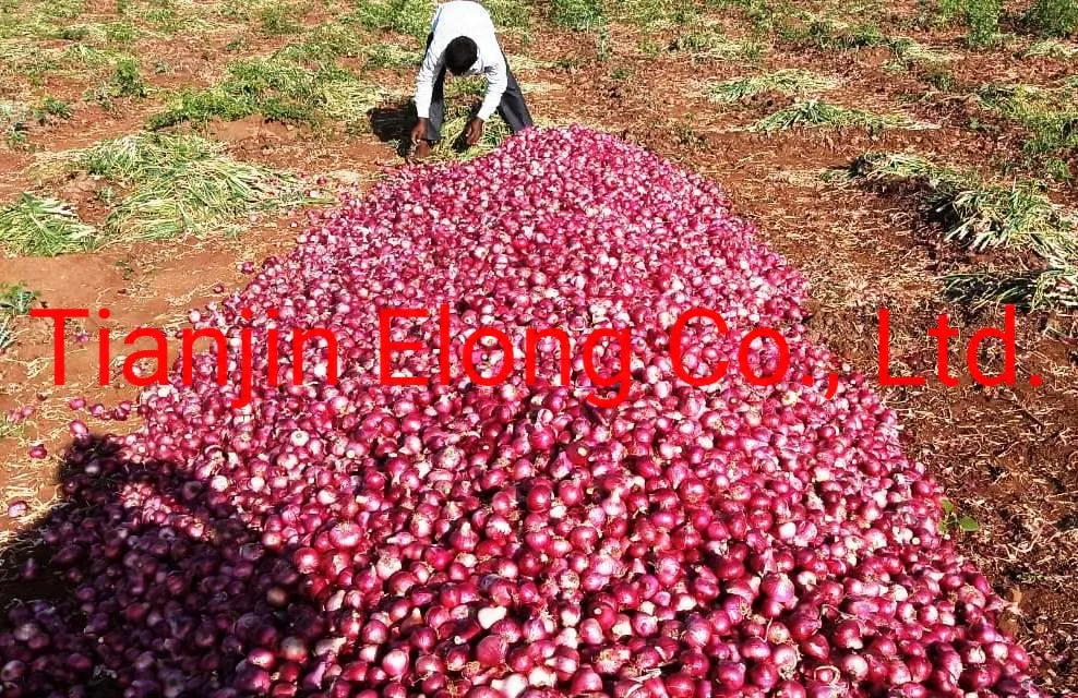 Good Quality Organic Fertilizer with Good Price