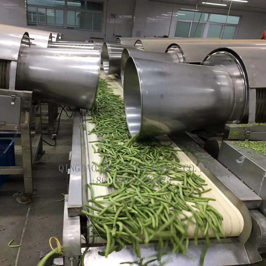 IQF haricots verts coupés avec une grande qualité de haricots verts coupés congelés