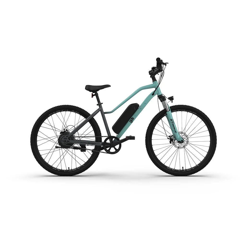 Cheap Fast Delivery Electric Dirt Bike Adult E Electric Hybrid Road MTB Mountain Ebike Bicycle