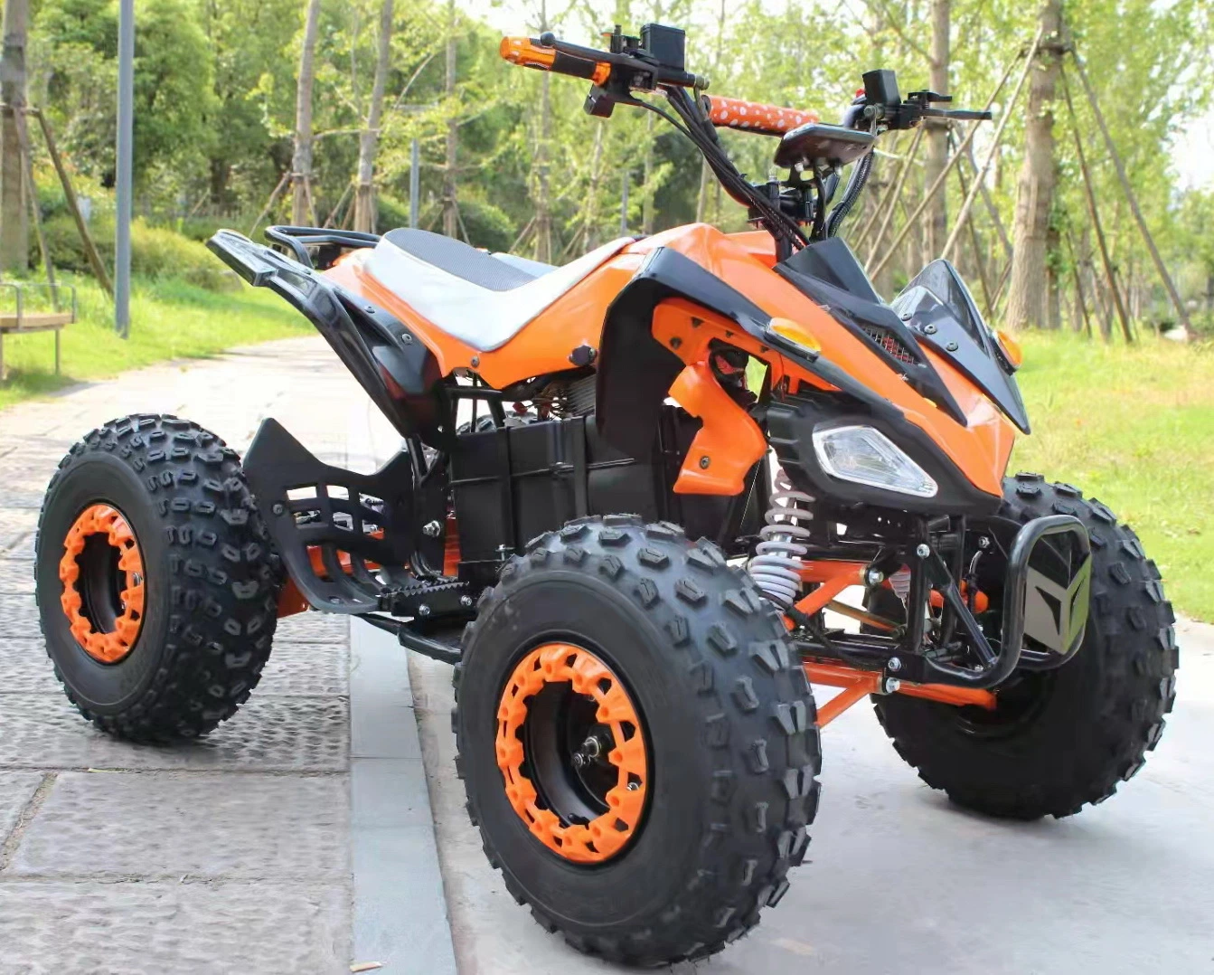 Buggy Eletrico 48V 1000W Quad für Erwachsene mittlere Größe mit Wellenantrieb