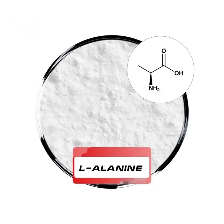 Sport Nutrition Endurance Beta-Alanine Alanine L-Alanine Capsule pour retard musculaire Soulagement de la fatigue hommes femmes hommes soutien énergétique