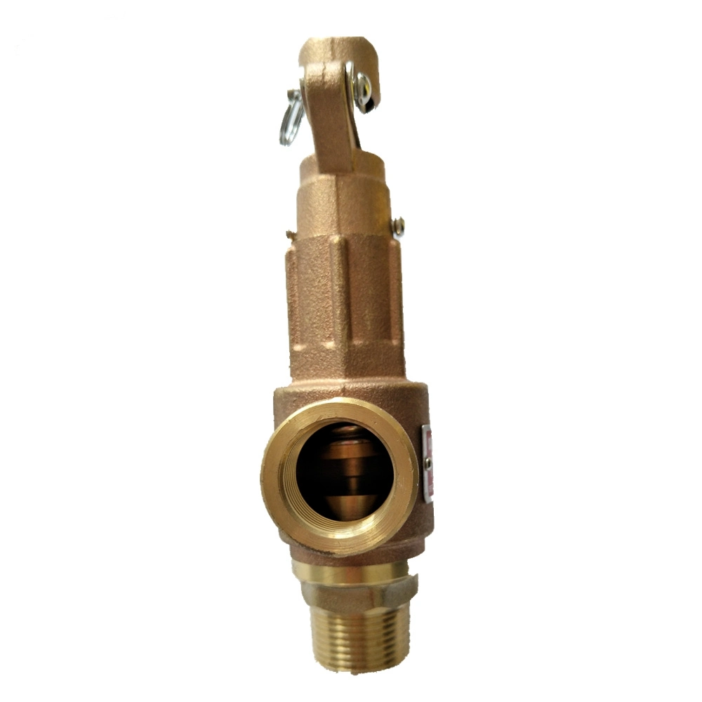 Industrial Brass Style Air Gas Steam Boilers Safety Valve