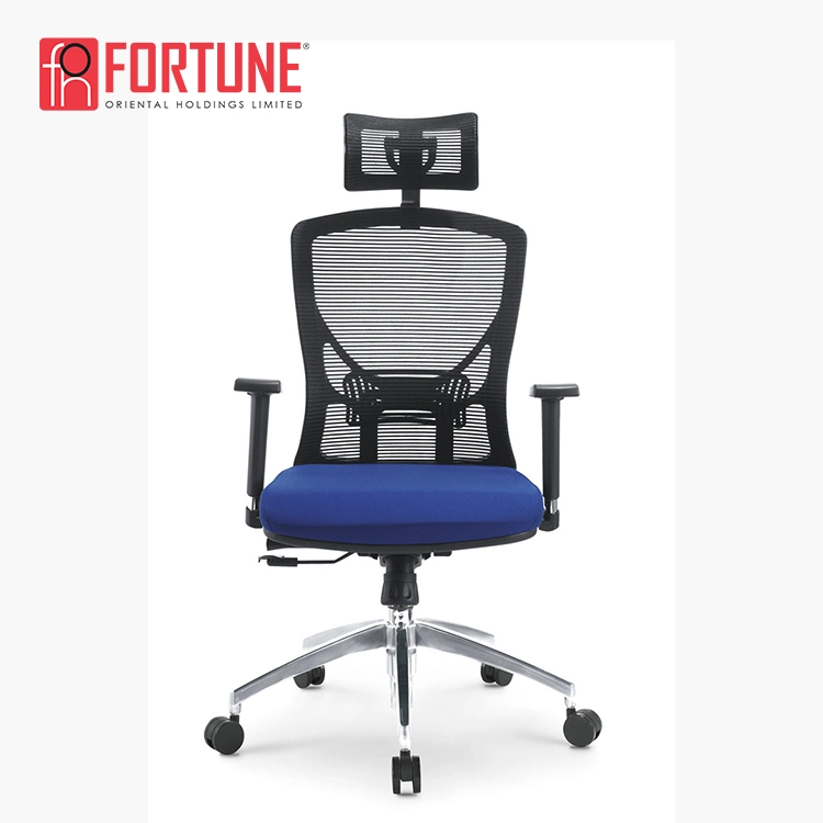 Blue Ergonomic Mesh Office Chair with High quality/High cost performance  (FOH-XM2A-B)