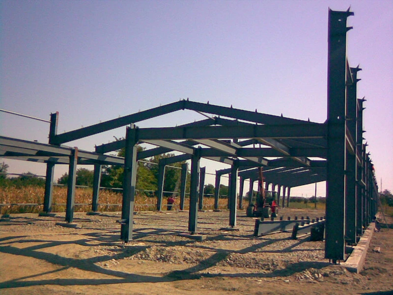 Q235/Q345 Light Steel Structure Building Bolted Building (DG2-003)